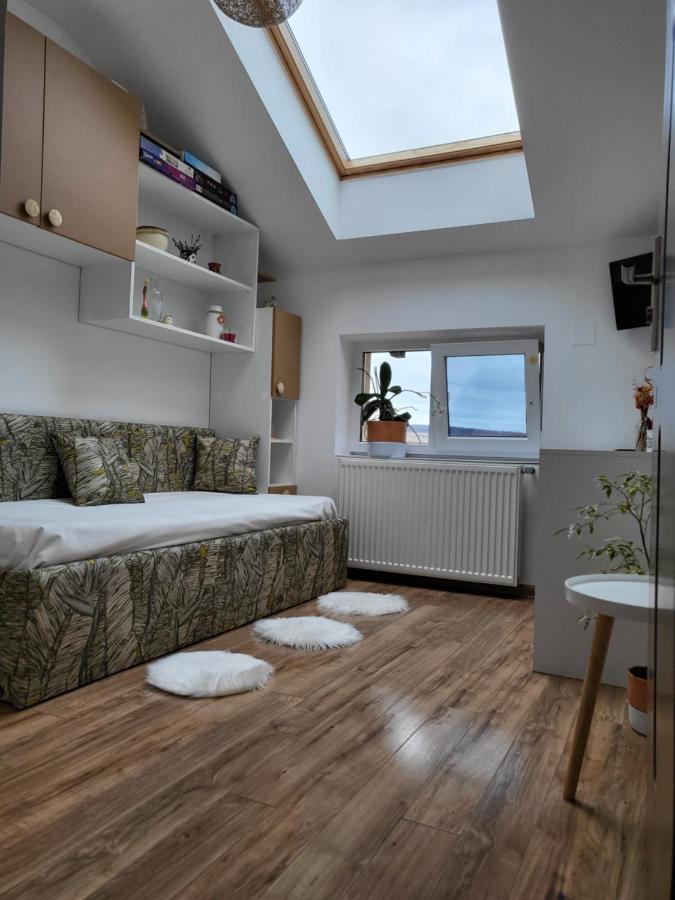 Art House Daire Floreşti Dış mekan fotoğraf